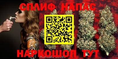 ПСИЛОЦИБИНОВЫЕ ГРИБЫ Новодвинск