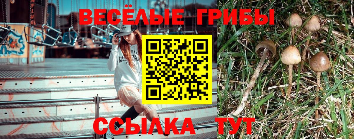 где найти   Галлюциногенные грибы MAGIC MUSHROOMS  Соль-Илецк  Вход с VPN  Псилоцибиновые грибы прущие грибы 